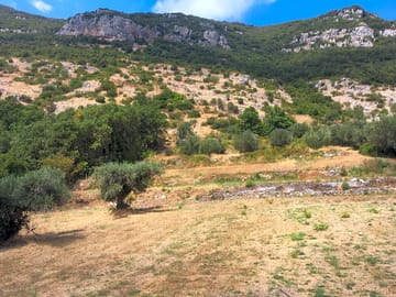 The area around the site