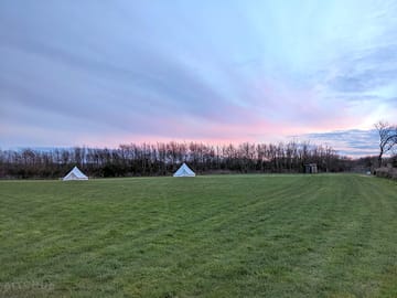 Glamping field view