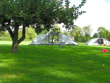 The rally field
