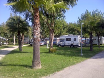 The pitches