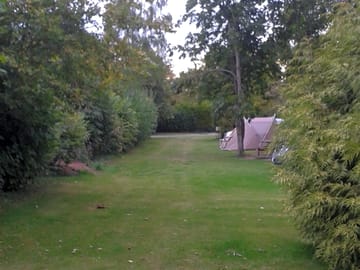 Woodland setting