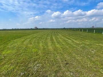 Camping field