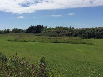 Natural grasses border all pitches