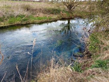 On the river bank