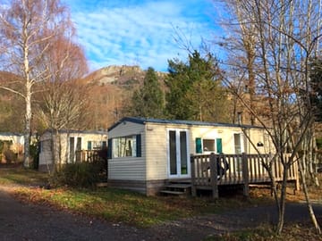 Holiday homes among the trees