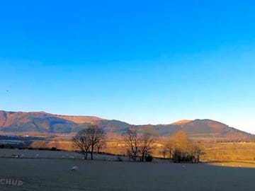 Views from the farm