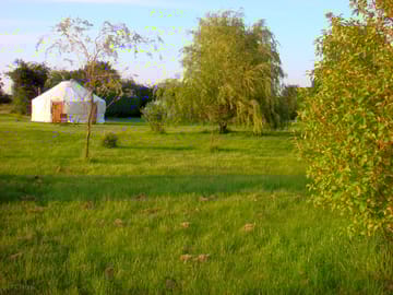 Yurts sleep up to 5 in each