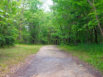 On the way to the camp