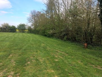 Spacious pitches