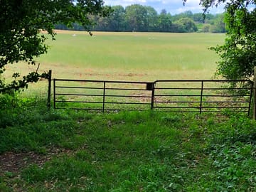 Rural views