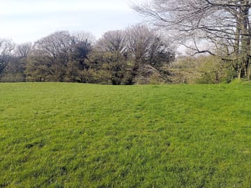 Camping pitches