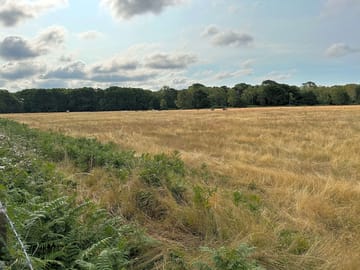 The camping field