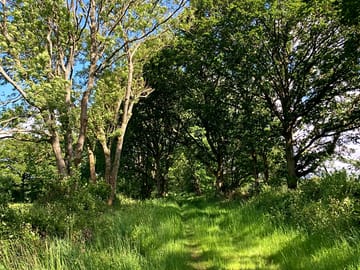 Walkers paradise