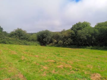 Camping field