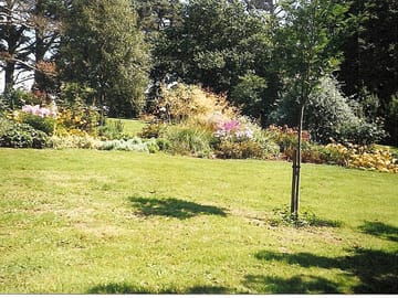 Abbotsbury gardens