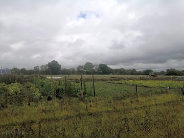 Views over a market garden and vineyard