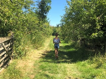 Nature walks