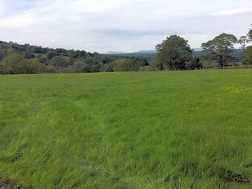 Camping field