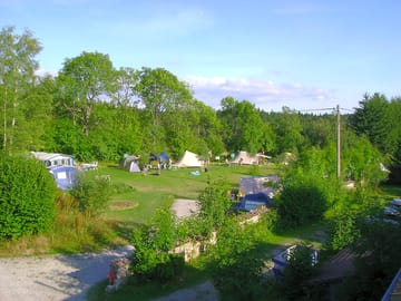 Grass pitches surrounded by trees