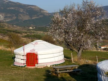 Beautiful settings for your yurt