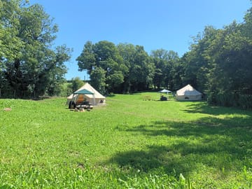 View of the field