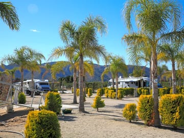 Trees around the pitches