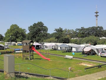 View of the site
