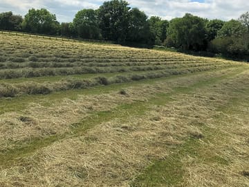 Haymaking at the farm