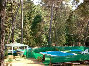 Outdoor swimming pools surrounded by pine trees