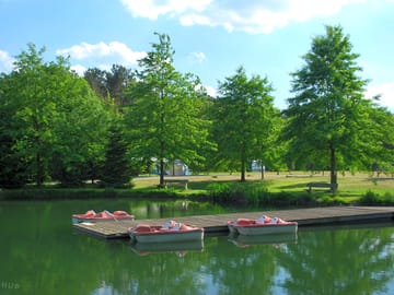 Pedaloes on the lake