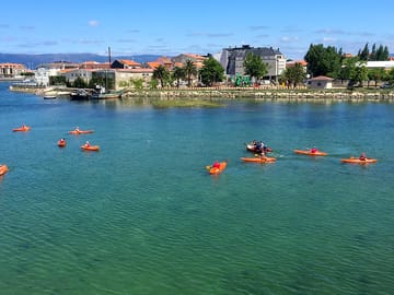 Kayak