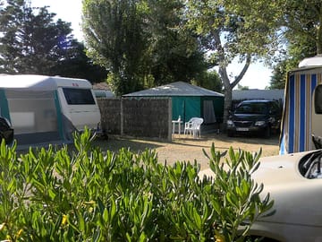 Mixed pitches among the trees