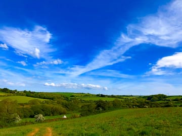 The farm