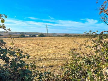 View of the site