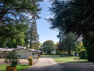 Grounds
