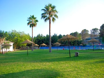 The garden surrounding the pool