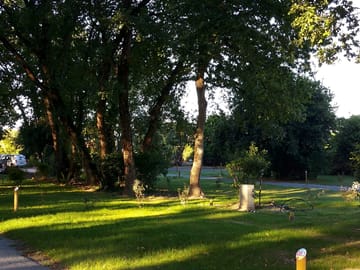 Pitches under the trees