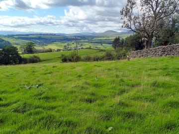 Semi-level grass camping pitches