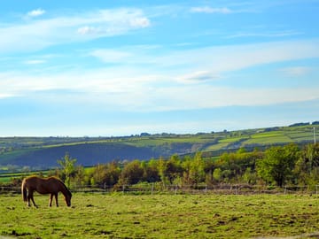 Paddocks with views