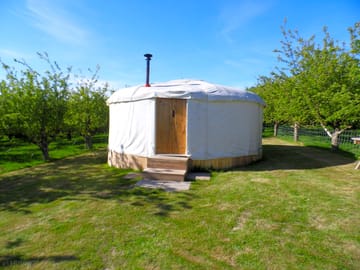 Outside the yurt