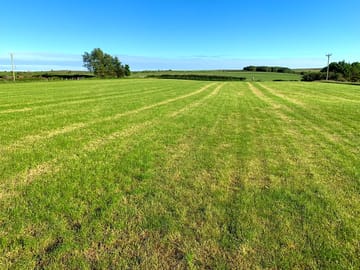 Grassy pitches