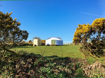 Spacious sites for our yurts