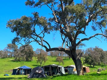 Roo camping area is suitable for individuals or small groups