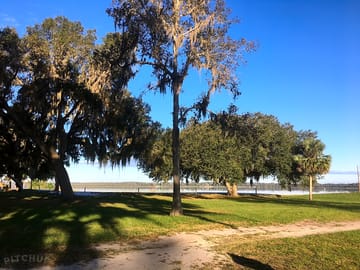 Looking towards the lake