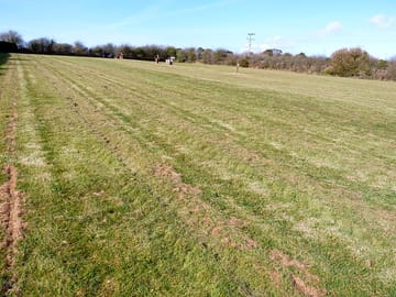 View looking across of and upwards from the site