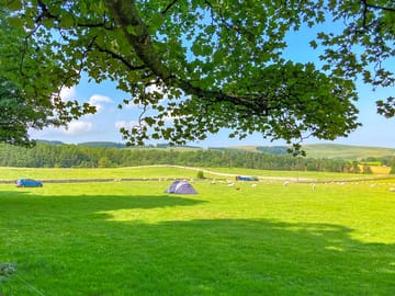 Relaxed camping