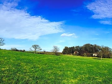 Panoramic view of the site