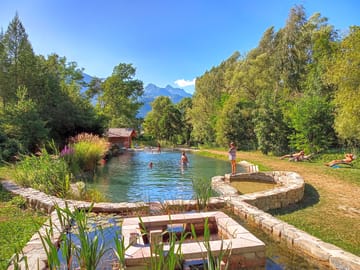 Natural pool