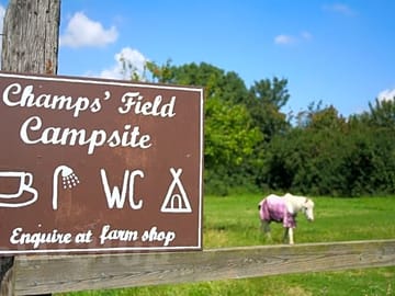 Champs Field Campsite