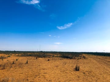 View of the land on site